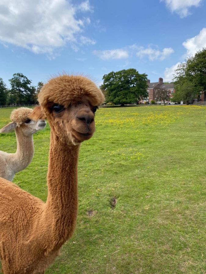 Singleton Lodge Country House Hotel Poulton-le-Fylde Esterno foto
